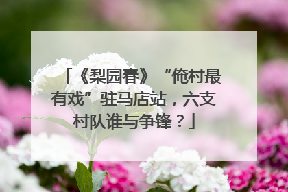 《梨园春》“俺村最有戏”驻马店站，六支村队谁与争锋？