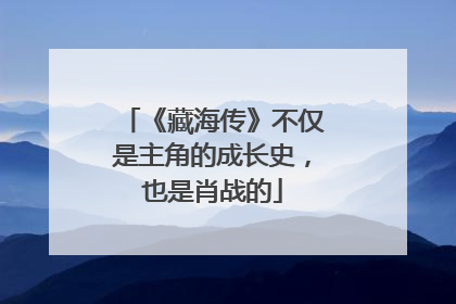 《藏海传》不仅是主角的成长史，也是肖战的