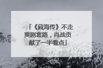 《藏海传》不走爽剧套路，肖战贡献了一半看点