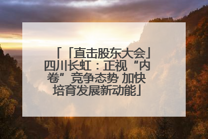 「直击股东大会」四川长虹：正视“内卷”竞争态势 加快培育发展新动能