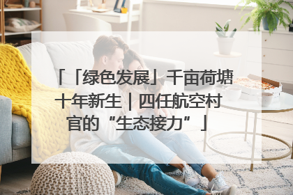 「绿色发展」千亩荷塘 十年新生｜四任航空村官的“生态接力”