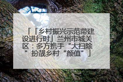 「乡村振兴示范带建设进行时」兰州市城关区：多方携手“大扫除”扮靓乡村“颜值”