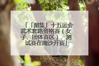 「图集」十五运会武术套路资格赛（女子、团体赛区）、测试赛在南沙开赛