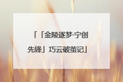 「金陵逐梦·宁创先锋」巧云破茧记