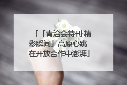 「青洽会特刊·精彩瞬间」高原心跳 在开放合作中澎湃
