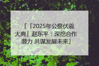 「2025年公祭伏羲大典」赵东平：深挖合作潜力 共谋发展未来