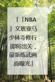 「NBA」文班亚马少林寺修行即将出关，最新练武画面曝光