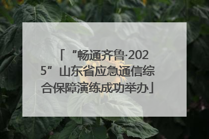 “畅通齐鲁·2025”山东省应急通信综合保障演练成功举办