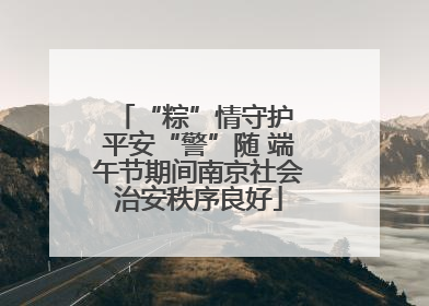 “粽”情守护 平安“警”随 端午节期间南京社会治安秩序良好