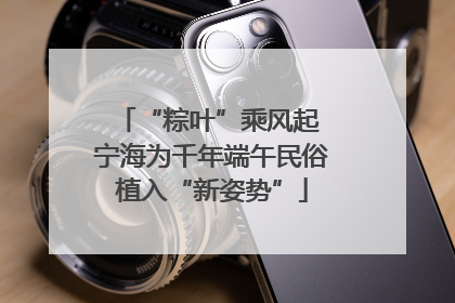 “粽叶”乘风起 宁海为千年端午民俗植入“新姿势”