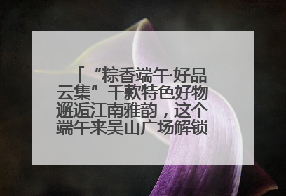 “粽香端午·好品云集”千款特色好物邂逅江南雅韵，这个端午来吴山广场解锁“浙里烟火气”