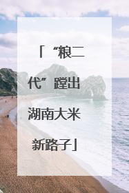 “粮二代”蹚出湖南大米新路子