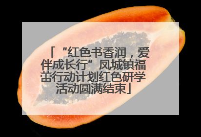 “红色书香润，爱伴成长行”凤城镇福蕾行动计划红色研学活动圆满结束