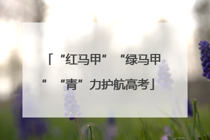 “红马甲”“绿马甲”“青”力护航高考