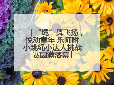 “绳”舞飞扬，悦动童年 乐师附小跳绳小达人挑战赛圆满落幕