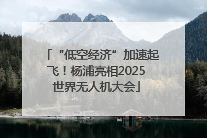 “低空经济”加速起飞！杨浦亮相2025世界无人机大会