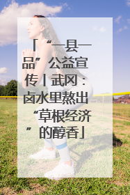 “一县一品”公益宣传丨武冈：卤水里熬出“草根经济”的醇香