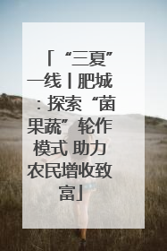 “三夏”一线丨肥城：探索“菌果蔬”轮作模式 助力农民增收致富