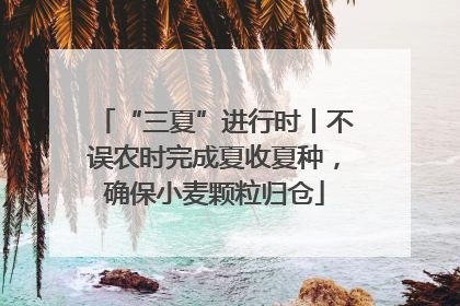 “三夏”进行时丨不误农时完成夏收夏种，确保小麦颗粒归仓