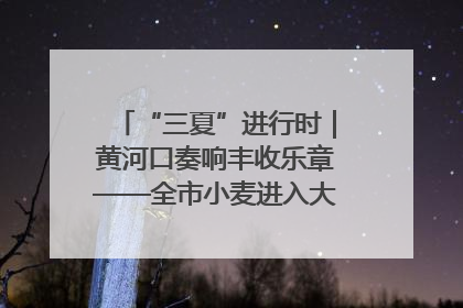 “三夏”进行时｜黄河口奏响丰收乐章——全市小麦进入大面积收获高峰期