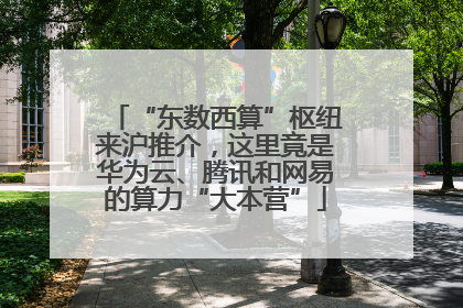 “东数西算”枢纽来沪推介，这里竟是华为云、腾讯和网易的算力“大本营”