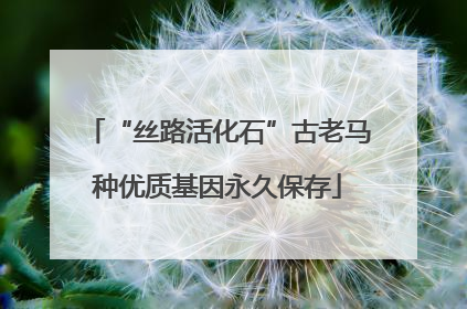 “丝路活化石”古老马种优质基因永久保存
