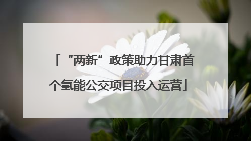 “两新”政策助力甘肃首个氢能公交项目投入运营
