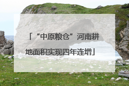“中原粮仓”河南耕地面积实现四年连增