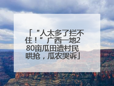 “人太多了拦不住！”广西一地280亩瓜田遭村民哄抢，瓜农哭诉