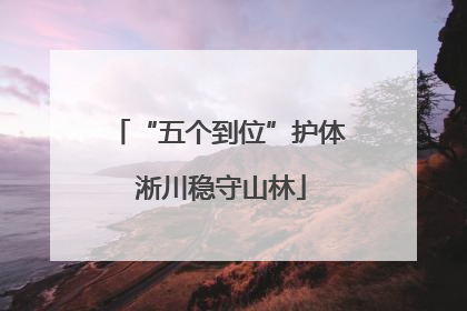“五个到位”护体 淅川稳守山林