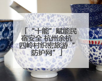 “十能”赋能民宿安全 杭州余杭四岭村织密旅游“防护网”