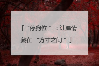 “停狗位 ”：让温情藏在 “方寸之间 ”