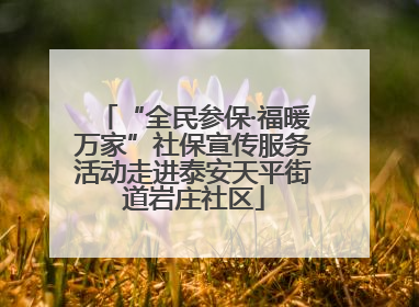 “全民参保·福暖万家”社保宣传服务活动走进泰安天平街道岩庄社区