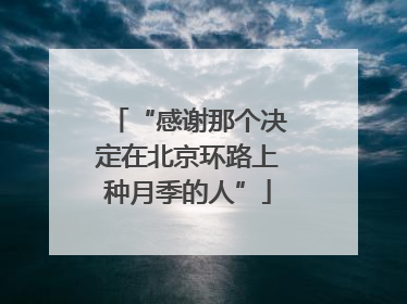 “感谢那个决定在北京环路上种月季的人”