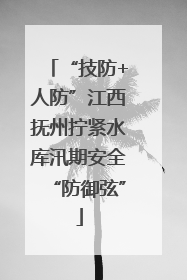 “技防+人防”江西抚州拧紧水库汛期安全“防御弦”