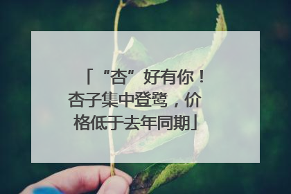“杏”好有你！杏子集中登鹭，价格低于去年同期