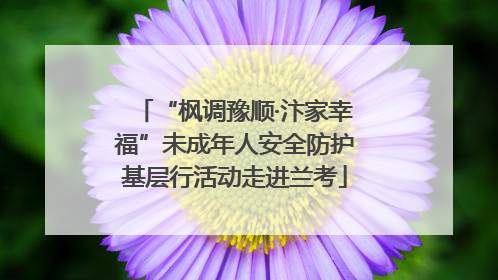 “枫调豫顺·汴家幸福”未成年人安全防护基层行活动走进兰考