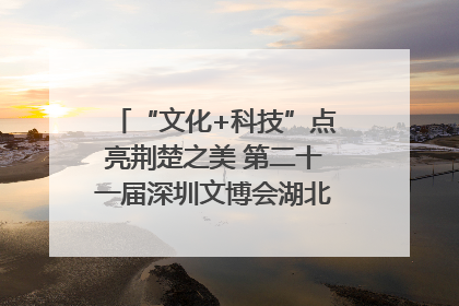“文化+科技”点亮荆楚之美 第二十一届深圳文博会湖北馆抢“鲜”看