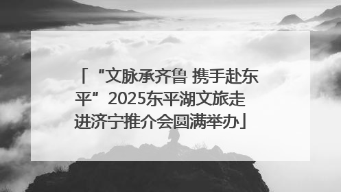 “文脉承齐鲁 携手赴东平”2025东平湖文旅走进济宁推介会圆满举办