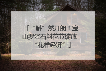 “斛”然开朗！宝山罗泾石斛花节绽放“花样经济”
