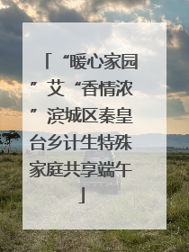 “暖心家园”艾“香情浓”滨城区秦皇台乡计生特殊家庭共享端午