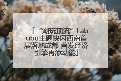 “潮玩顶流”Labubu主题快闪西南首展落地成都 首发经济引擎再添动能