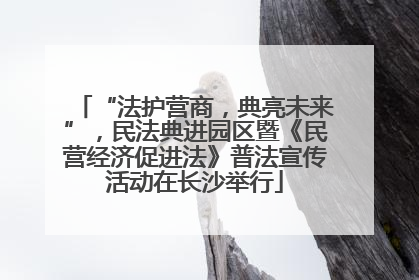 “法护营商，典亮未来”，民法典进园区暨《民营经济促进法》普法宣传活动在长沙举行