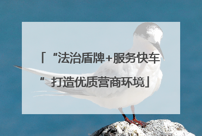 “法治盾牌+服务快车”打造优质营商环境