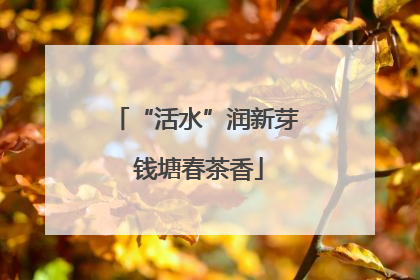 “活水”润新芽 钱塘春茶香