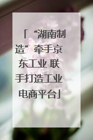 “湖南制造”牵手京东工业 联手打造工业电商平台