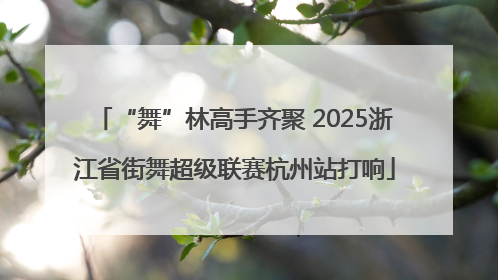 “舞”林高手齐聚 2025浙江省街舞超级联赛杭州站打响