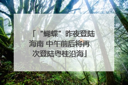 “蝴蝶”昨夜登陆海南 中午前后将再次登陆粤桂沿海
