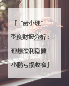 “蔚小理”一季度财报分析：理想盈利稳健 小鹏亏损收窄