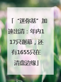 “迷你基”加速出清：年内117只谢幕，还有1655只在清盘边缘